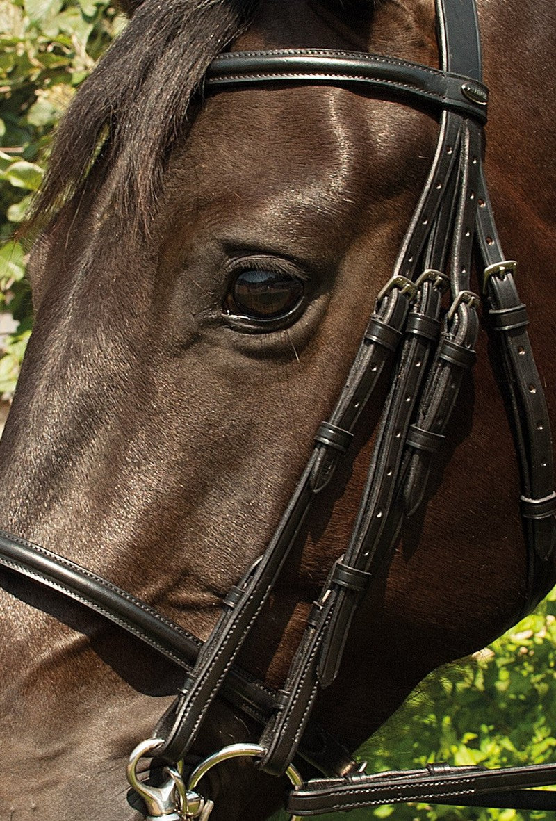 Heritage English Leather Double Bridle – Cornish Equestrian & Embroidery