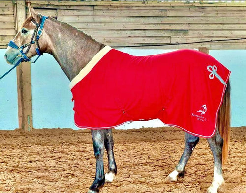 LeMieux Pony Fleece Travel Rug Orchid