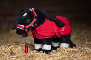 Starter set -for Cuddle Pony-