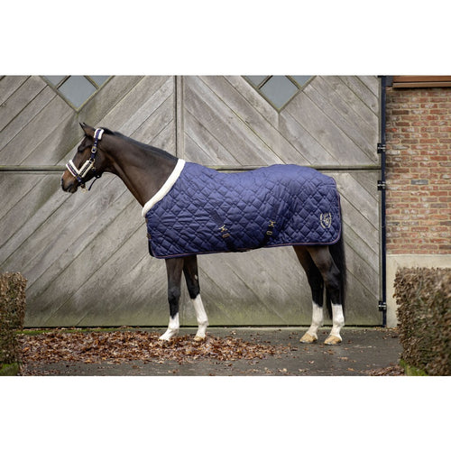 Stunning Fleece Lined Stable Rug Teddy Collar