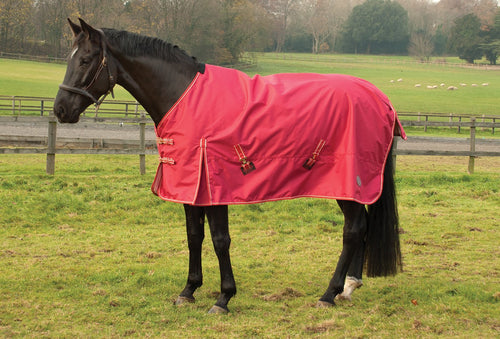 Rhinegold ‘Torrent’ Lightweight Outdoor Rug