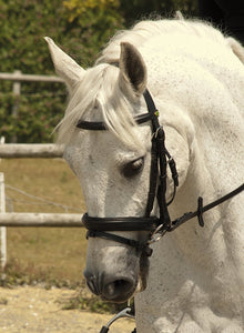 Rhinegold German Leather Bridle With Flash Noseband