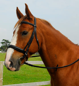 Heritage English Leather ‘Comfort’ Bridle With Cavesson Noseband