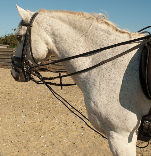 Rhinegold Leather Draw Reins With Rope Insert