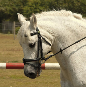 Rhinegold German Leather Bridle With Detachable Flash Noseband