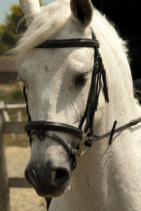 Rhinegold German Leather Bridle With Detachable Flash Noseband