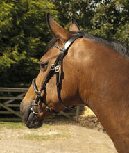 Heritage English Leather In-Hand Bridle