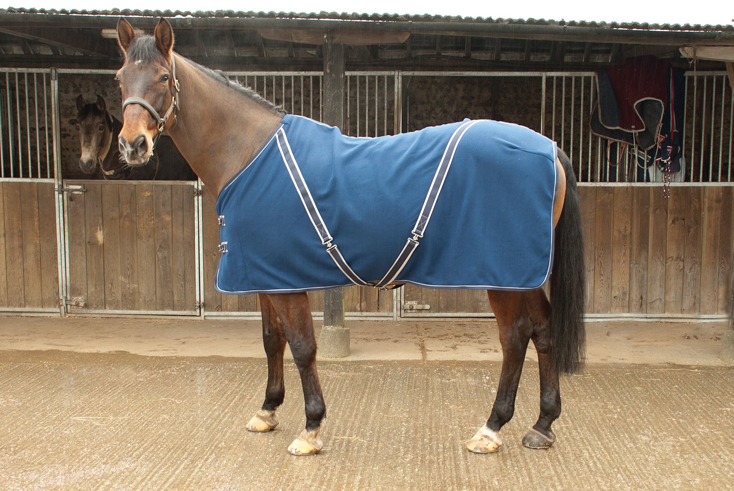 Rhinegold - Paardendekens & -bandages / Benodigdheden Rhinegold - Paardendekens & -bandages / Benodigdheden