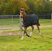 Rhinegold ‘Konig’ Small Pony/Foal Outdoor Rug